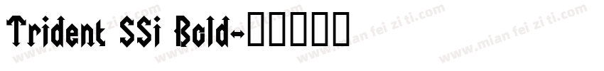 Trident SSi Bold字体转换